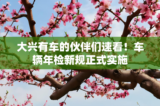 大兴有车的伙伴们速看！车辆年检新规正式实施