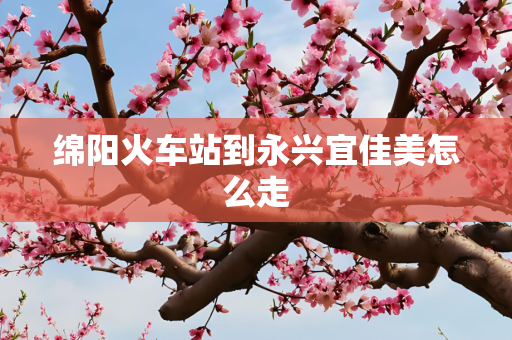 绵阳火车站到永兴宜佳美怎么走