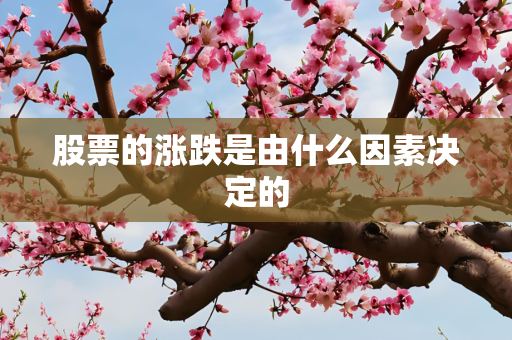 股票的涨跌是由什么因素决定的