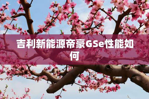吉利新能源帝豪GSe性能如何