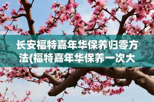 长安福特嘉年华保养归零方法(福特嘉年华保养一次大概多少钱)