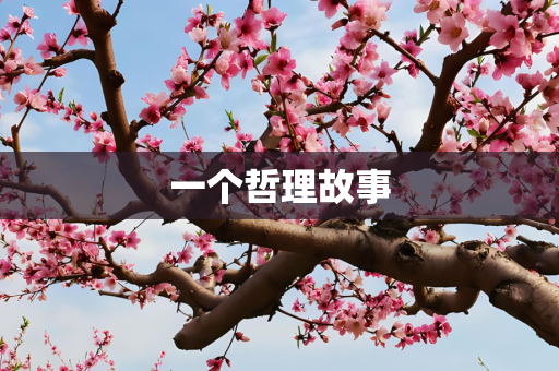一个哲理故事