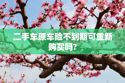 二手车原车险不到期可重新购买吗?