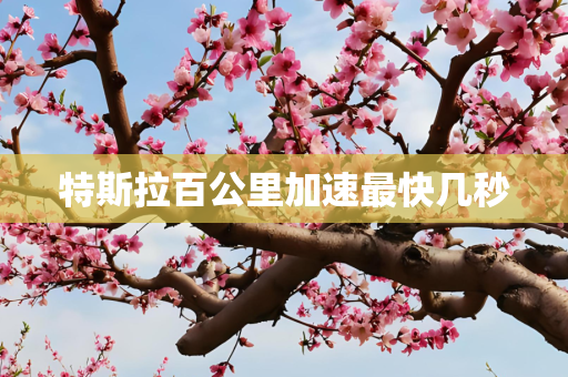 特斯拉百公里加速最快几秒