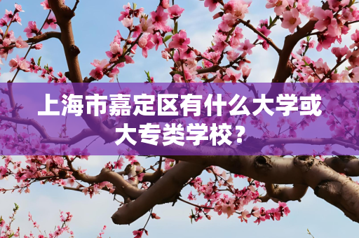 上海市嘉定区有什么大学或大专类学校？