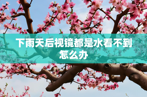 下雨天后视镜都是水看不到怎么办