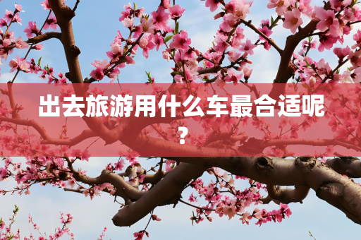 出去旅游用什么车最合适呢？