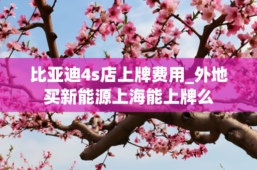 比亚迪4s店上牌费用_外地买新能源上海能上牌么