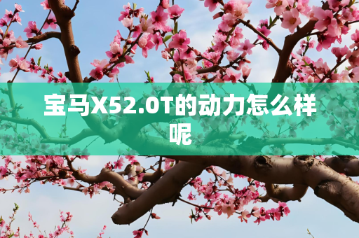 宝马X52.0T的动力怎么样呢