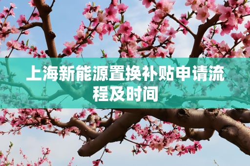 上海新能源置换补贴申请流程及时间
