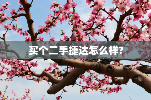 买个二手捷达怎么样?
