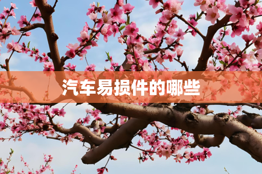 汽车易损件的哪些