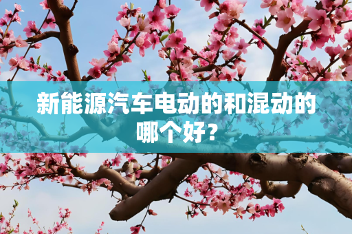 新能源汽车电动的和混动的哪个好？