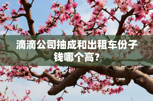经济 第31页