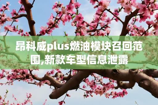 昂科威plus燃油模块召回范围,新款车型信息泄露