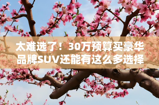 太难选了！30万预算买豪华品牌SUV还能有这么多选择