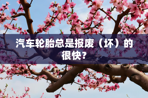 汽车轮胎总是报废（坏）的很快？