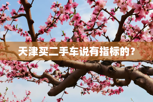 天津买二手车说有指标的？