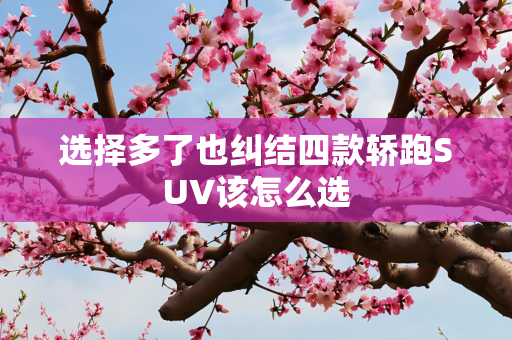 选择多了也纠结四款轿跑SUV该怎么选