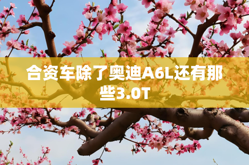 合资车除了奥迪A6L还有那些3.0T
