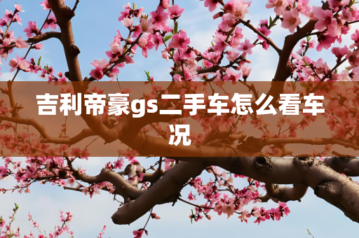 吉利帝豪gs二手车怎么看车况