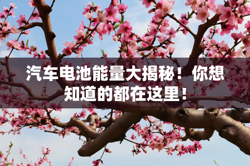 汽车电池能量大揭秘！你想知道的都在这里！