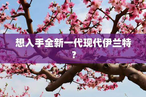 想入手全新一代现代伊兰特？