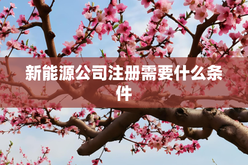 新能源公司注册需要什么条件