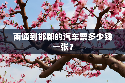 南通到邯郸的汽车票多少钱一张？