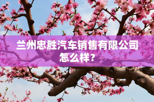 兰州忠胜汽车销售有限公司怎么样？