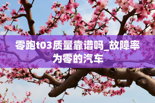 零跑t03质量靠谱吗_故障率为零的汽车
