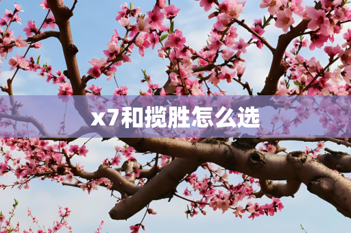 x7和揽胜怎么选