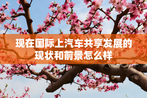 现在国际上汽车共享发展的现状和前景怎么样