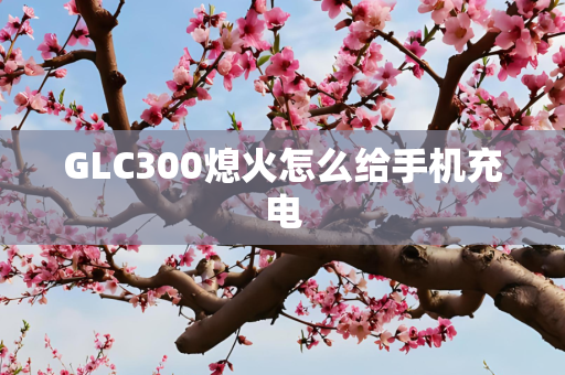 GLC300熄火怎么给手机充电