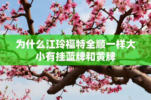 为什么江玲福特全顺一样大小有挂蓝牌和黄牌