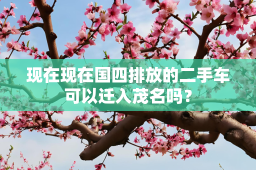现在现在国四排放的二手车可以迁入茂名吗？