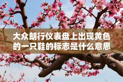 大众朗行仪表盘上出现黄色的一只鞋的标志是什么意思