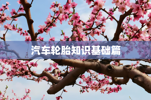 汽车轮胎知识基础篇