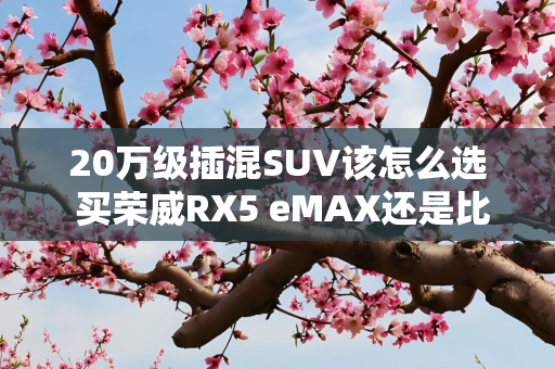 20万级插混SUV该怎么选 买荣威RX5 eMAX还是比亚迪宋Pro DM