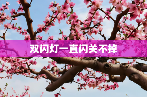 双闪灯一直闪关不掉