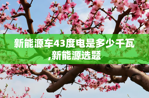 新能源车43度电是多少千瓦,新能源选题
