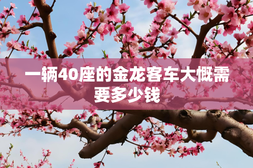 一辆40座的金龙客车大慨需要多少钱