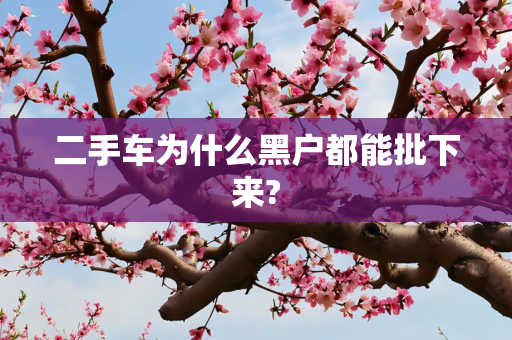 二手车为什么黑户都能批下来?