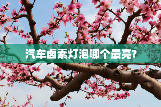 汽车卤素灯泡哪个最亮?