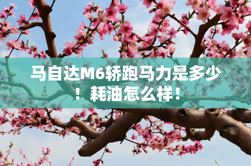 马自达M6轿跑马力是多少！耗油怎么样！