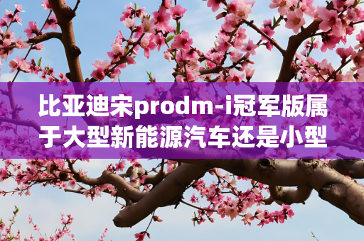 比亚迪宋prodm-i冠军版属于大型新能源汽车还是小型新能源
