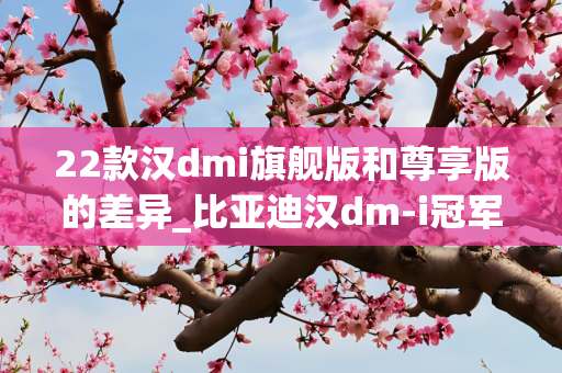 22款汉dmi旗舰版和尊享版的差异_比亚迪汉dm-i冠军版旗舰型都有哪些配置