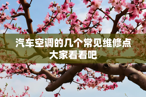 汽车空调的几个常见维修点大家看看吧