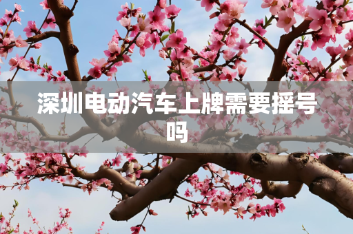 深圳电动汽车上牌需要摇号吗