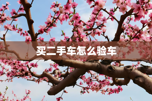 买二手车怎么验车